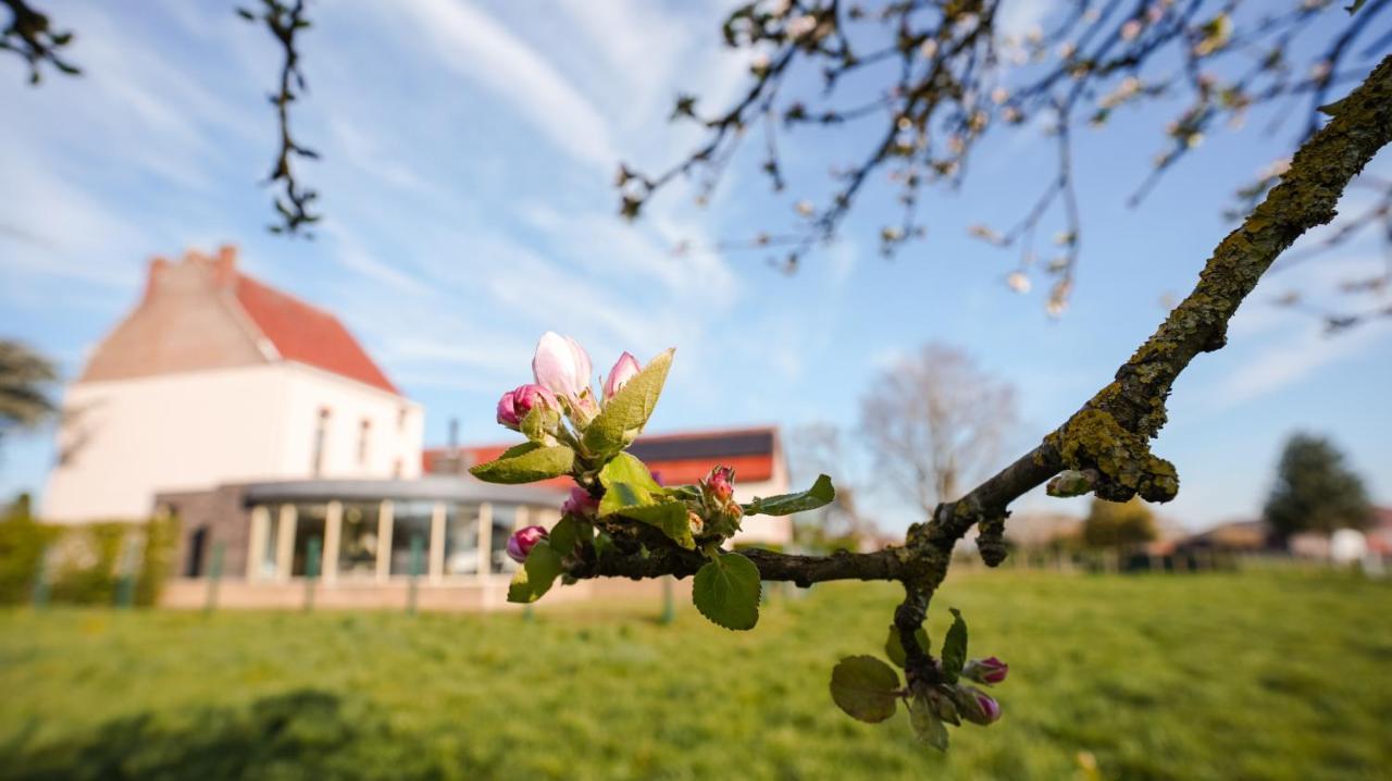 Villa Corthals Brakel Kültér fotó